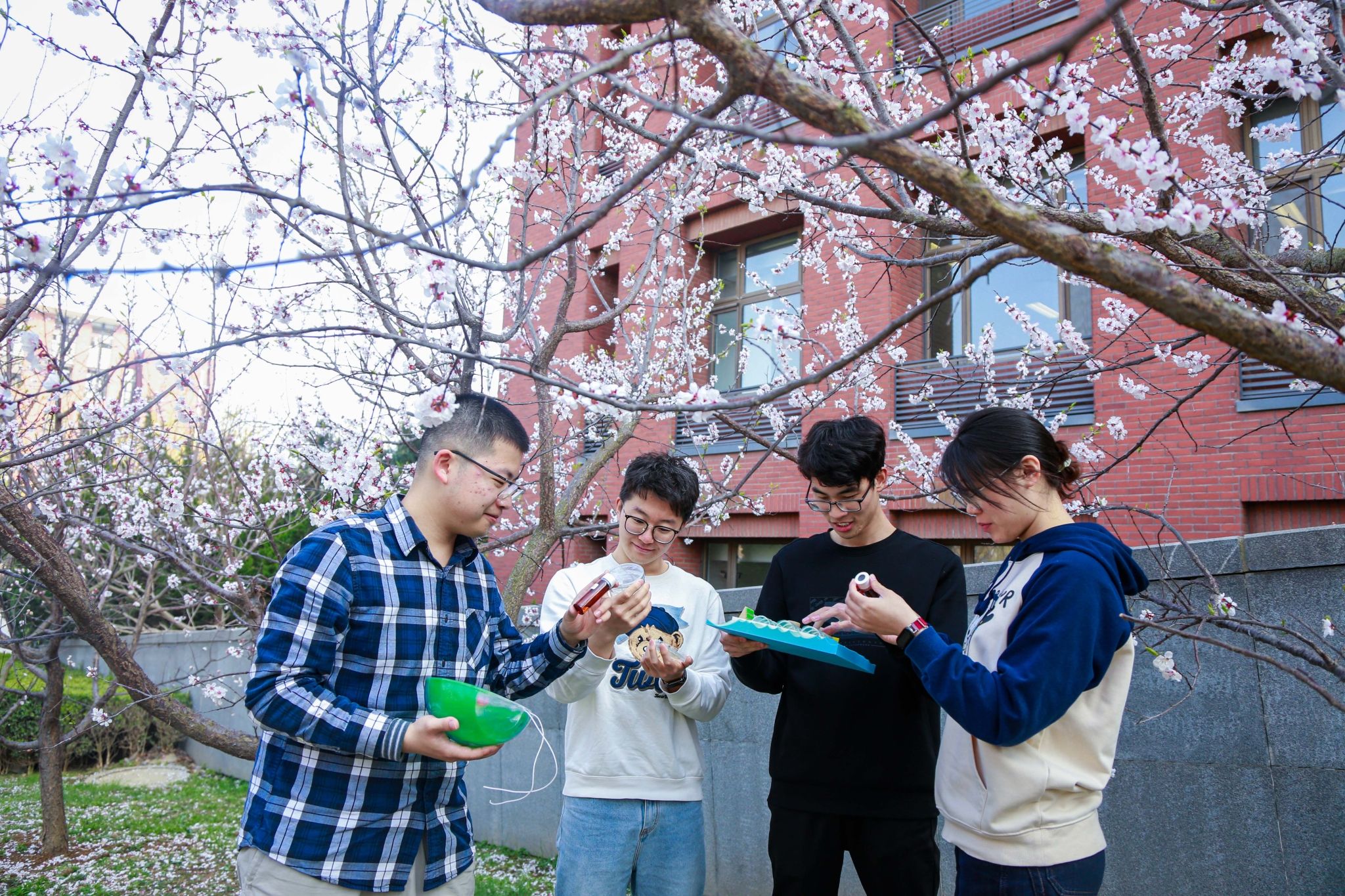 大工学生协作调试微藻生物质海上收获平台模型，科研实践配图